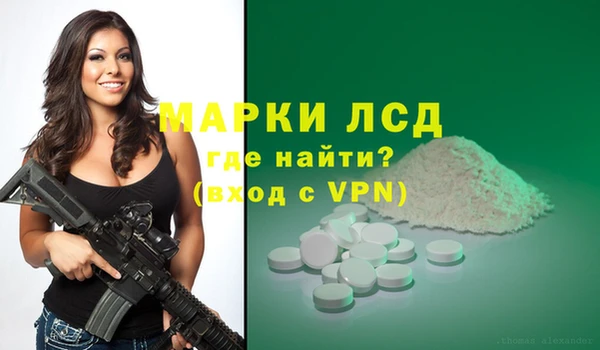 spice Осинники