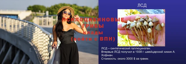 ГАЛЛЮЦИНОГЕННЫЕ ГРИБЫ Осташков