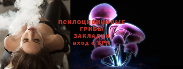 spice Осинники