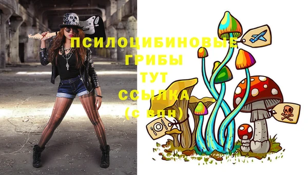 твердый Няндома