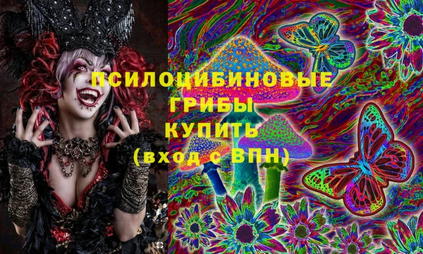 гашик Алзамай
