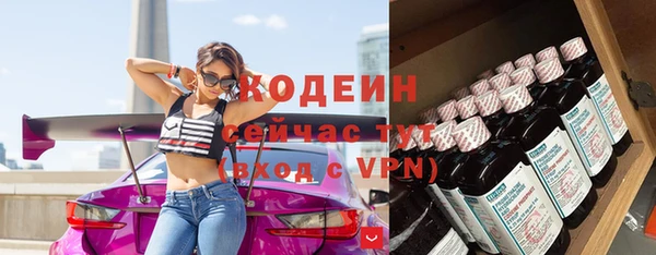 spice Осинники