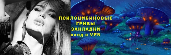 твердый Няндома