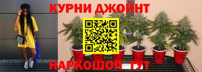 шишки Гусев