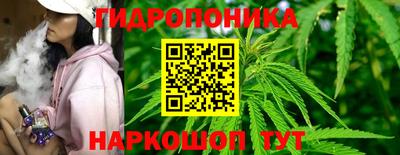 стаф Гусиноозёрск