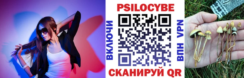 Псилоцибиновые грибы прущие грибы Калач-на-Дону
