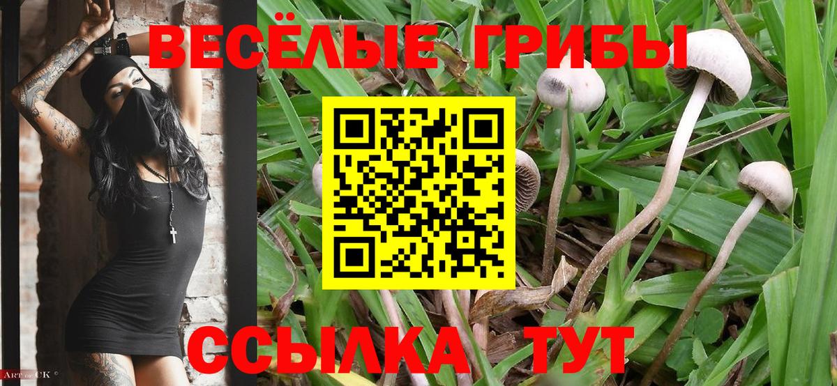 Сколько стоит  Марихуана  Кокаин  ГАШ  ТГК  Калач-на-Дону  Мефедрон  Вход с VPN  Меф МЯУ МЯУ кристаллы 