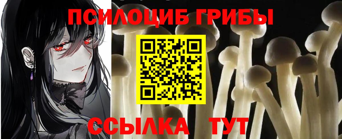 Галлюциногенные грибы мухоморы Калач-на-Дону