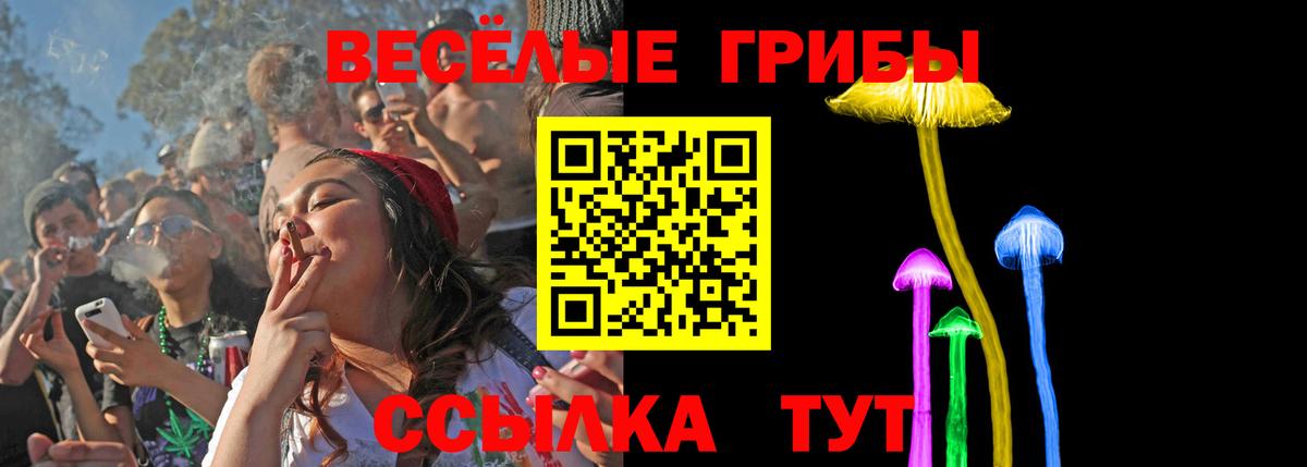 Калач-на-Дону  Псилоцибиновые грибы MAGIC MUSHROOMS  Вход с VPN 